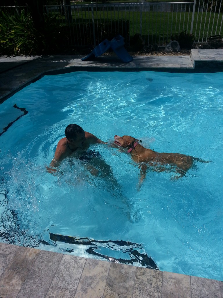 Swimming Pool Fun