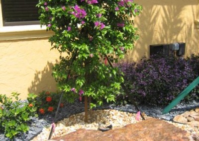 Landscaping