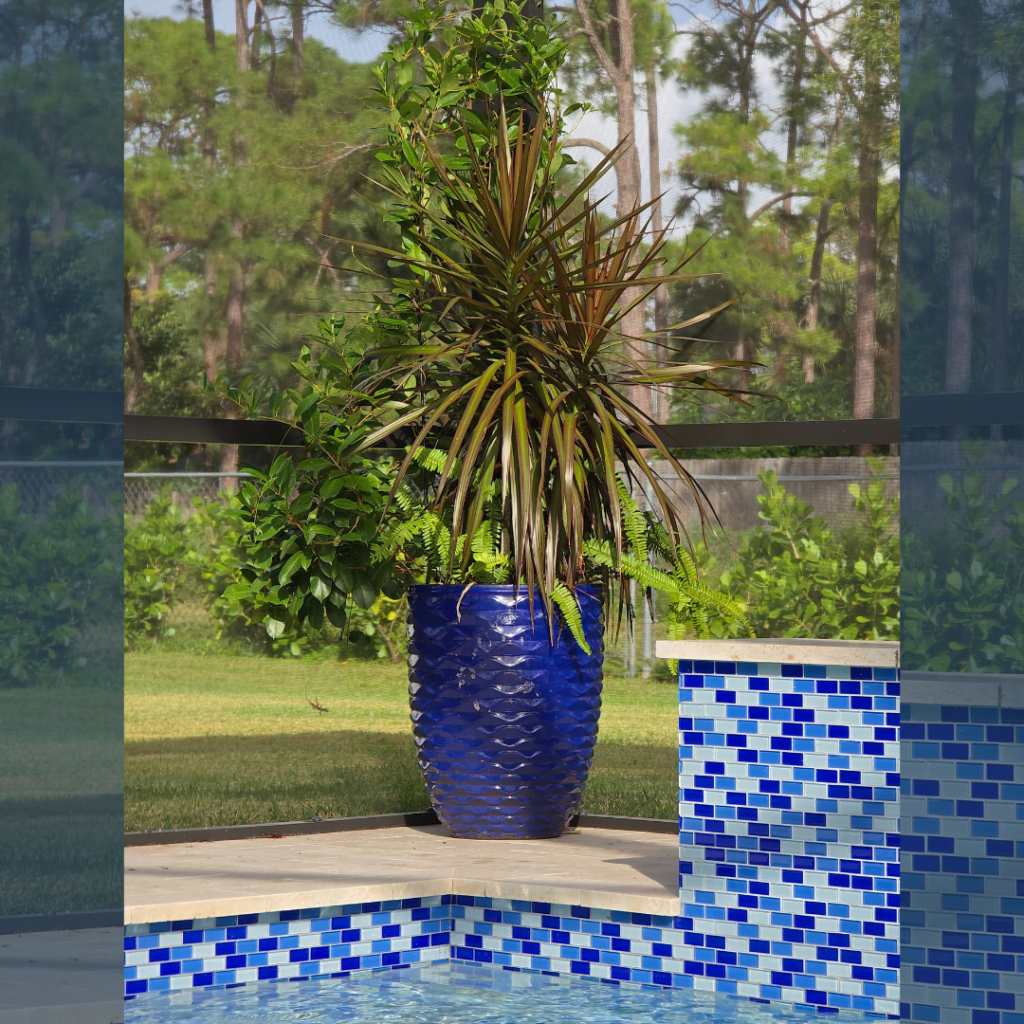 pool tiles